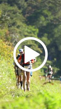 BIB:  <button type="button" onclick="openModal(26575949)" class="btn btn-primary btn-sm float-right" data-toggle="modal" data-target=".modal-high-quality">
                <i class="fa fa-download"></i> Download
                </button>